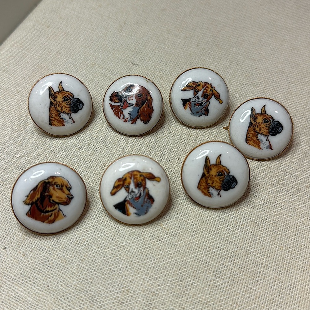 Collar DISC - Dog